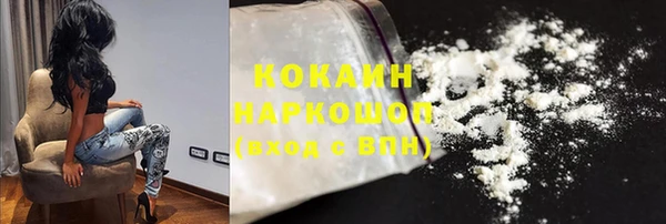 прущие грибы Армянск