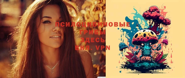 прущие грибы Армянск